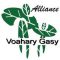 Alliance Voary Gasy